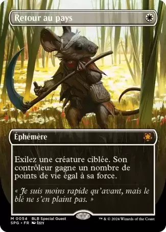 Special Guests - Retour au pays