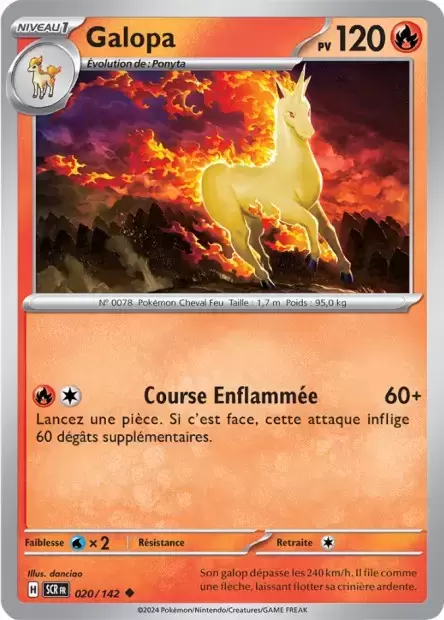 Couronne Stellaire - SCRFR - Galopa