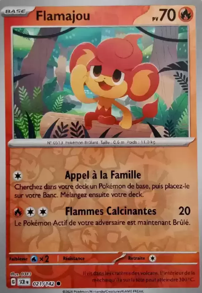 Couronne Stellaire - SCRFR - Flamajou Reverse