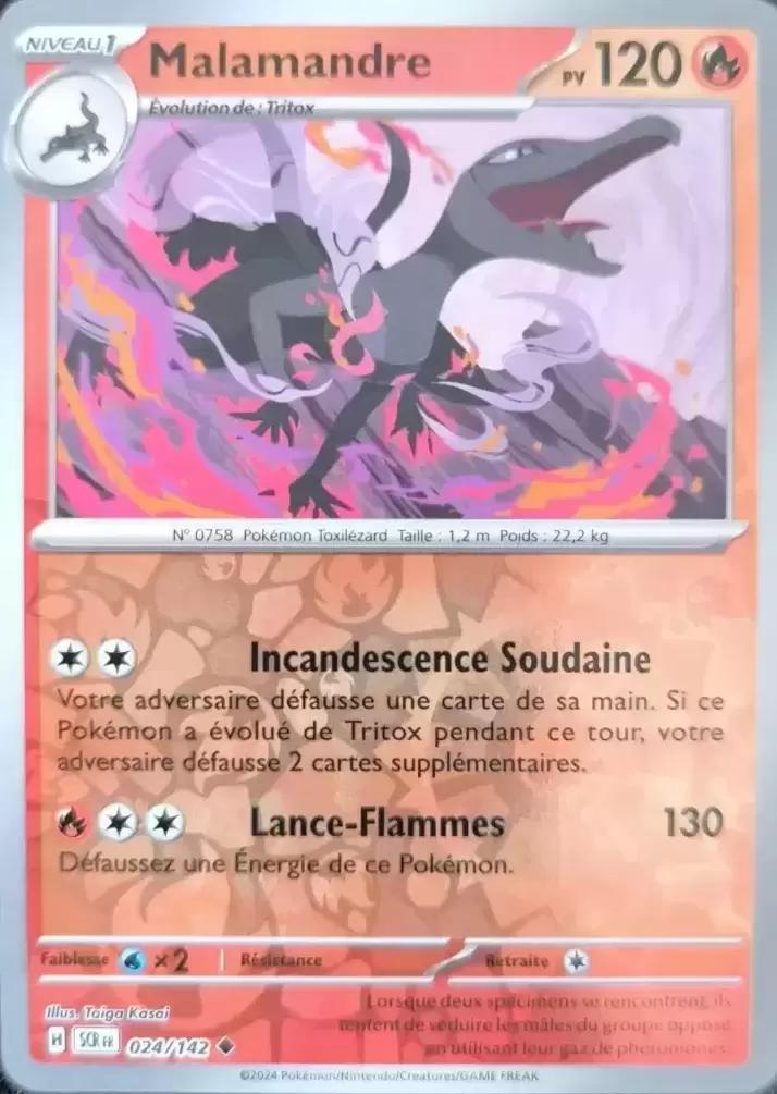 Couronne Stellaire - SCRFR - Malamandre Reverse