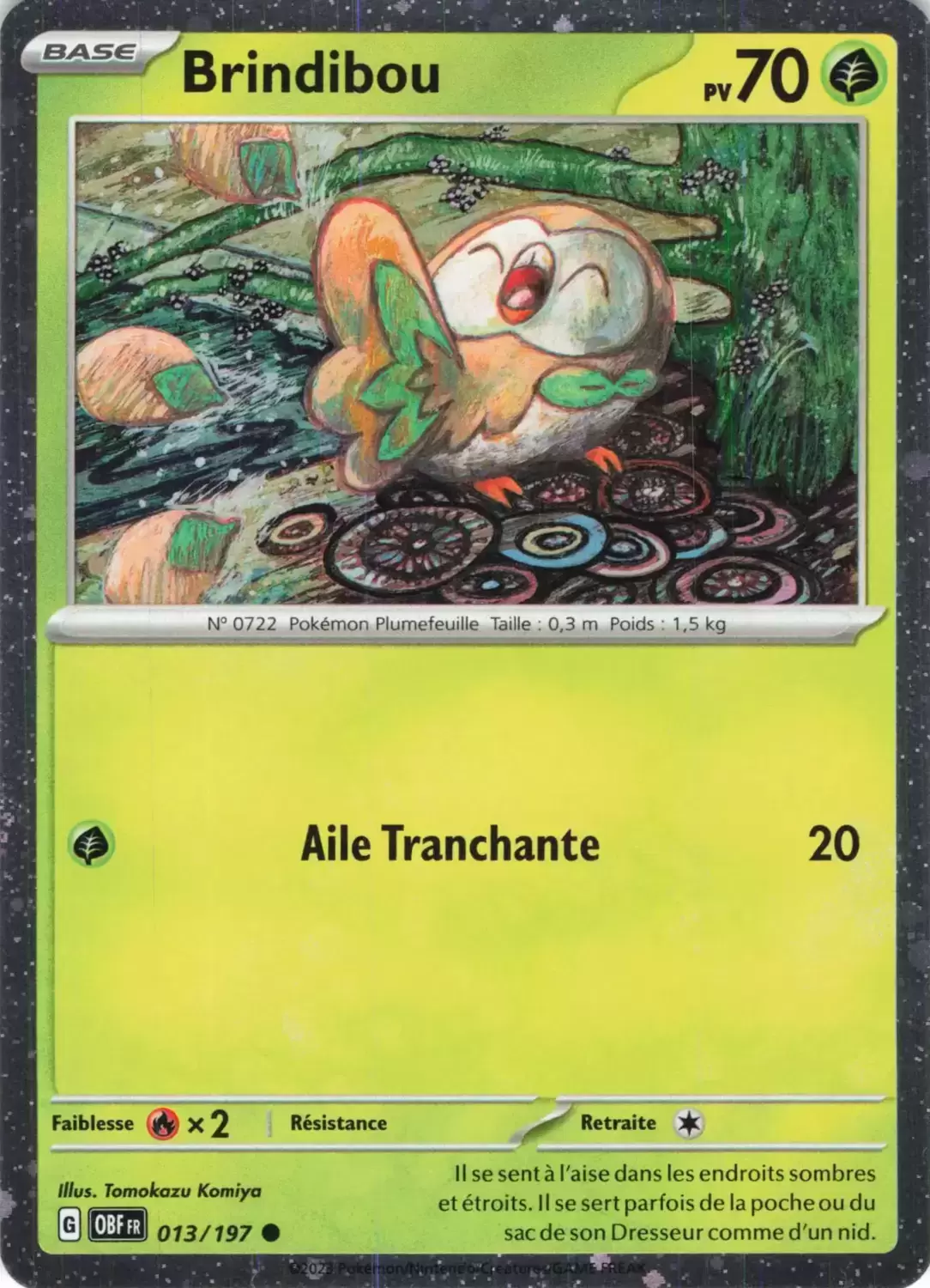 Flammes Obsidiennes - OBFFR - Rowlet holographic