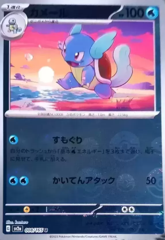 Sv2a - Pokémon Card 151 - Wartortle Holographique