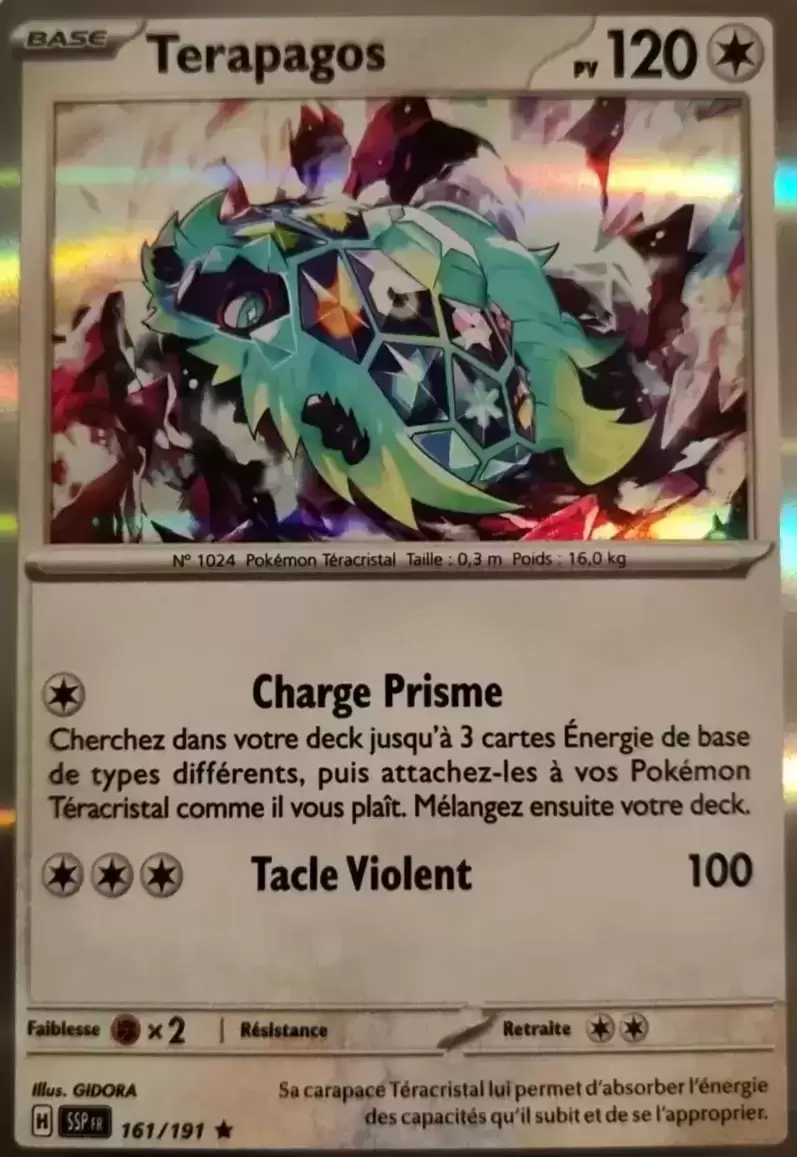Etincelles Déferlantes - SSPFR - Terapagos holographique