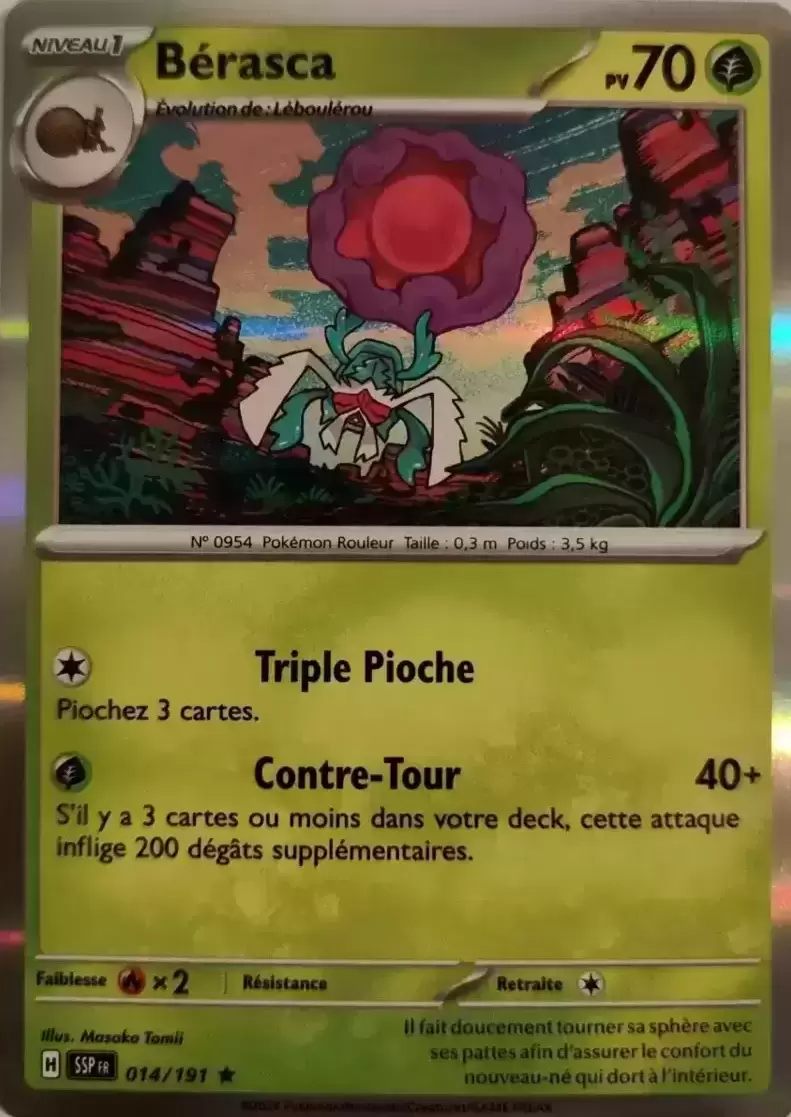 Etincelles Déferlantes - SSPFR - Bérasca holographique