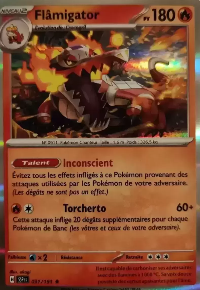 Etincelles Déferlantes - SSPFR - Flâmigator holographique