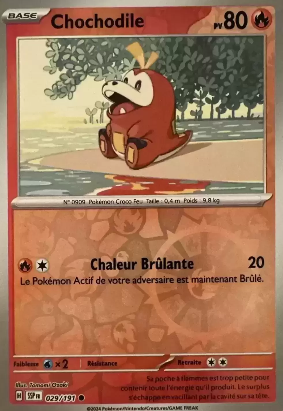 Etincelles Déferlantes - SSPFR - Chochodile Reverse