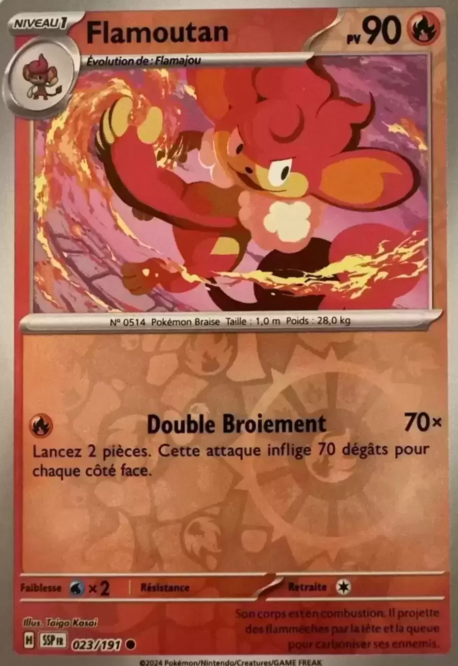Etincelles Déferlantes - SSPFR - Flamoutan Reverse