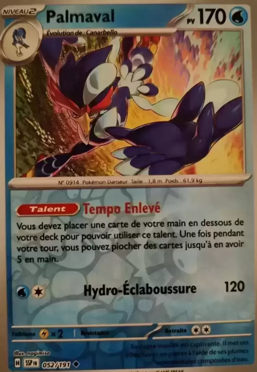 Etincelles Déferlantes - SSPFR - Palmaval Reverse