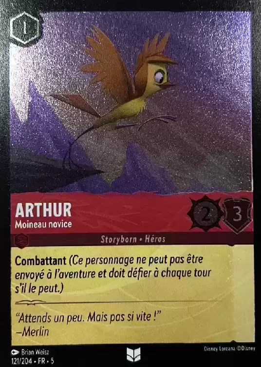 Ciel Scintillant - Chapitre 5 - Arthur - Moineau Novice - Brillante