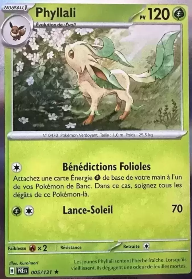 Evolutions prismatiques - PREFR - Phyllali holographique
