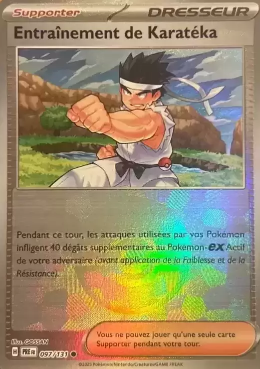 Evolutions prismatiques - PREFR - Entraînement de Karatéka Poké Ball