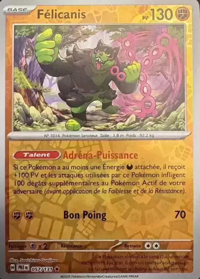 Evolutions prismatiques - PREFR - Félicanis Reverse