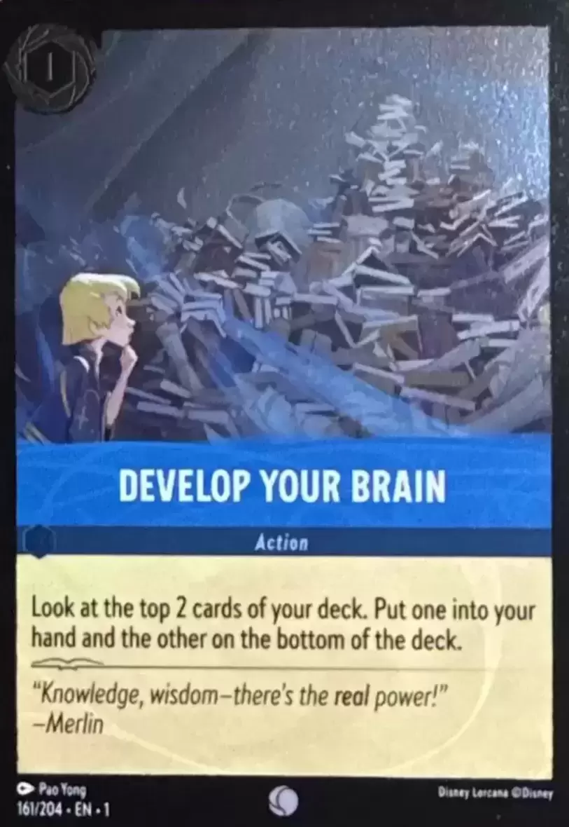 The First Chapter - Develop Your Brain - Foil