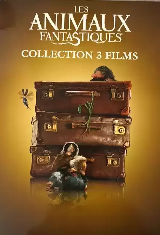 Harry Potter & Fantastic Beasts - Les animaux fantastiques Coffret 3 DVD