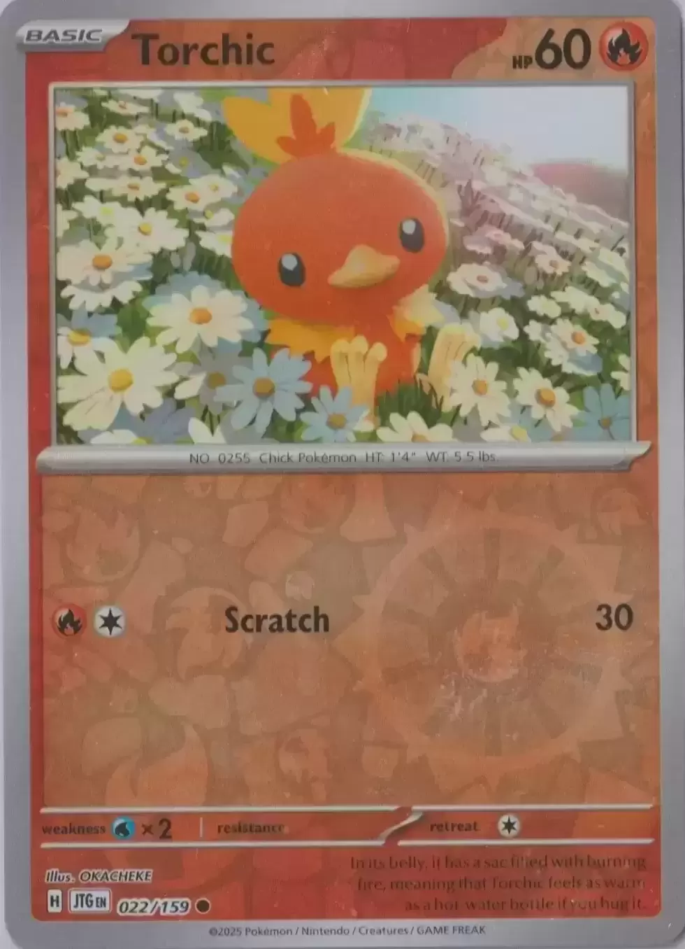 Journey Together - JTGEN - Torchic Reverse